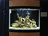 13026frontcenter.jpg