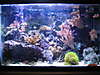 133520g_250watt_MH_20k.jpg