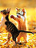 1469willow_mmm_kitty.jpg