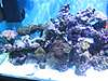 180_Reef_Nov_17_Left_Side.jpg