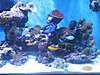 180_Reef_Nov_17_Right_Side.jpg
