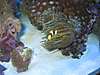 180_Reef_November_002.jpg