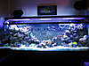 1815Whole_Tank_View.JPG