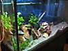 1832Picture_006.jpg 1832Picture_006.jpg