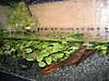 1832Picture_017.jpg 1832Picture_017.jpg