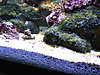 1833show_bubble4.jpg 1833show_bubble4.jpg