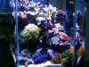 2011-04-18_15_29_29_600_x_450_.jpg