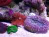 2011-05-01_09_16_40_600_x_450_.jpg 2011-05-01_09_16_40_600_x_450_.jpg