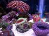 2011-05-02_00_41_52_600_x_450_.jpg 2011-05-02_00_41_52_600_x_450_.jpg