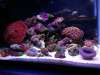 2011-05-02_00_42_11_600_x_450_.jpg 2011-05-02_00_42_11_600_x_450_.jpg
