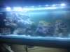 2012-05-21_09_42_45.jpg 2012-05-21_09_42_45.jpg