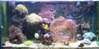 201fulltank12_29_03.jpg 201fulltank12_29_03.jpg