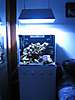 284IMG_0133_Small_.JPG
