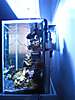 284IMG_0138_Medium_.JPG
