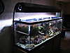 437IMG_0078.JPG