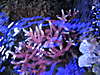 437IMG_0198.JPG