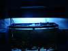 578Picture_002.jpg