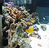 651100_0004.jpg