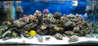 651100_0010.jpg