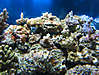 651100_0011.jpg