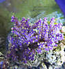 651100_0012.jpg
