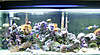752TANKLIGHT4.jpg