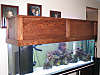 837fish_tank_007.jpg