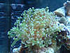 904tank_pics_032_025.jpg