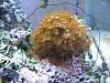 90_gal_tank_046.jpg