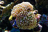 CRW_8879.jpg
