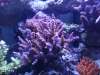 DSC00053.JPG