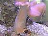 DSC00067.JPG