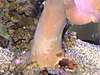 DSC00068.JPG
