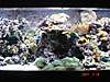 DSC00402_Small_.JPG DSC00402_Small_.JPG