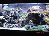 DSC00403_Small_.JPG DSC00403_Small_.JPG
