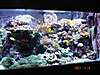 DSC00404_Small_.JPG DSC00404_Small_.JPG