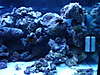 DSC00607_2_.JPG