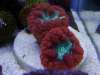 DSC01263_600_x_450_.jpg DSC01263_600_x_450_.jpg