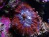 DSC01270_600_x_450_.jpg DSC01270_600_x_450_.jpg
