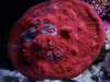 DSC01273_600_x_450_.jpg DSC01273_600_x_450_.jpg