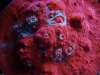 DSC01274_600_x_450_.jpg DSC01274_600_x_450_.jpg