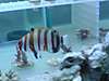 DSC03415.JPG