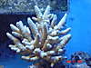 DSC08619.JPG