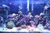 FTS_2_.jpg FTS_2_.jpg