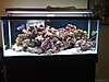 Fish_tank1.jpg Fish_tank1.jpg