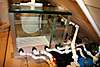 Fish_tank_031.jpg
