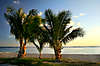 Hawaii_079.jpg Hawaii_079.jpg