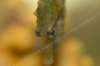 MG_2777.jpg