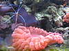 March_09_266.jpg March_09_266.jpg