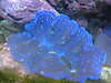 March_09_275.jpg March_09_275.jpg